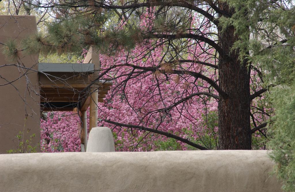 Touchstone Inn Taos Exteriér fotografie